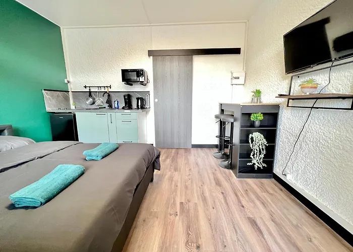 Апартаменты Magnifique ~hipster~ Porte Du Futuroscope